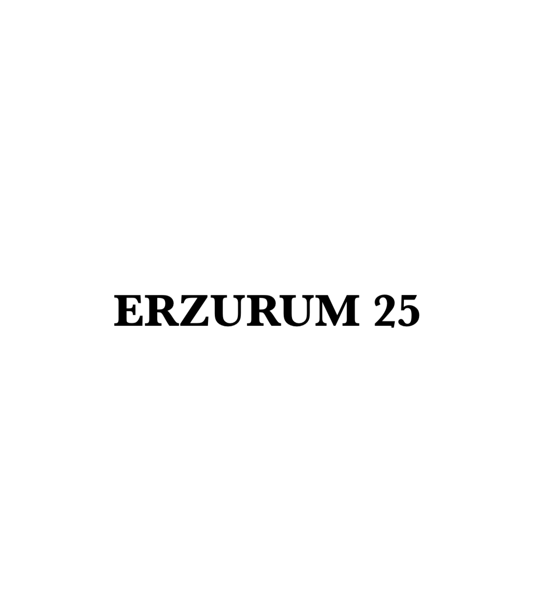 ERZURUM 25 - CARSTICKYZ