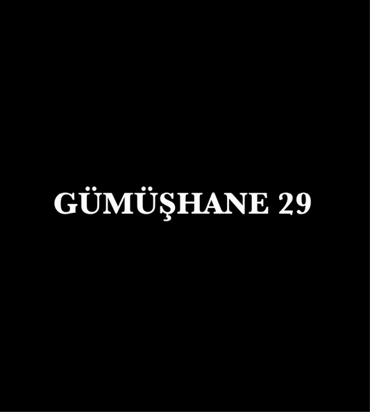 GÜMÜSHANE 29 - CARSTICKYZ