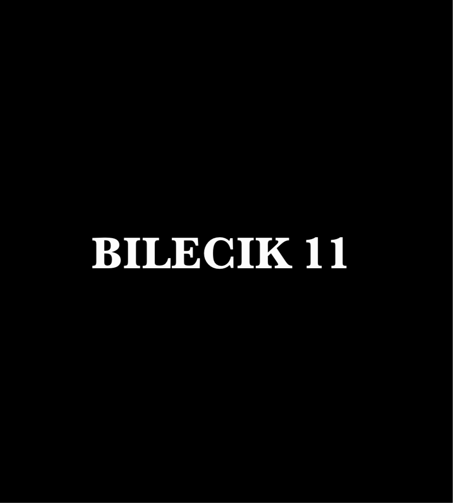 BILECIK 11 - CARSTICKYZ