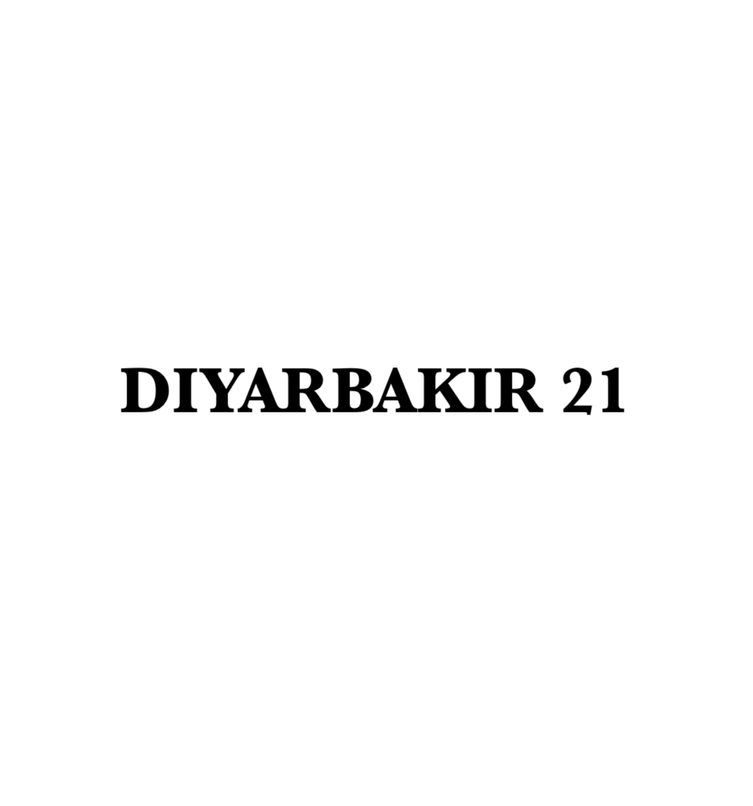 DIYARBAKIR 21 - CARSTICKYZ