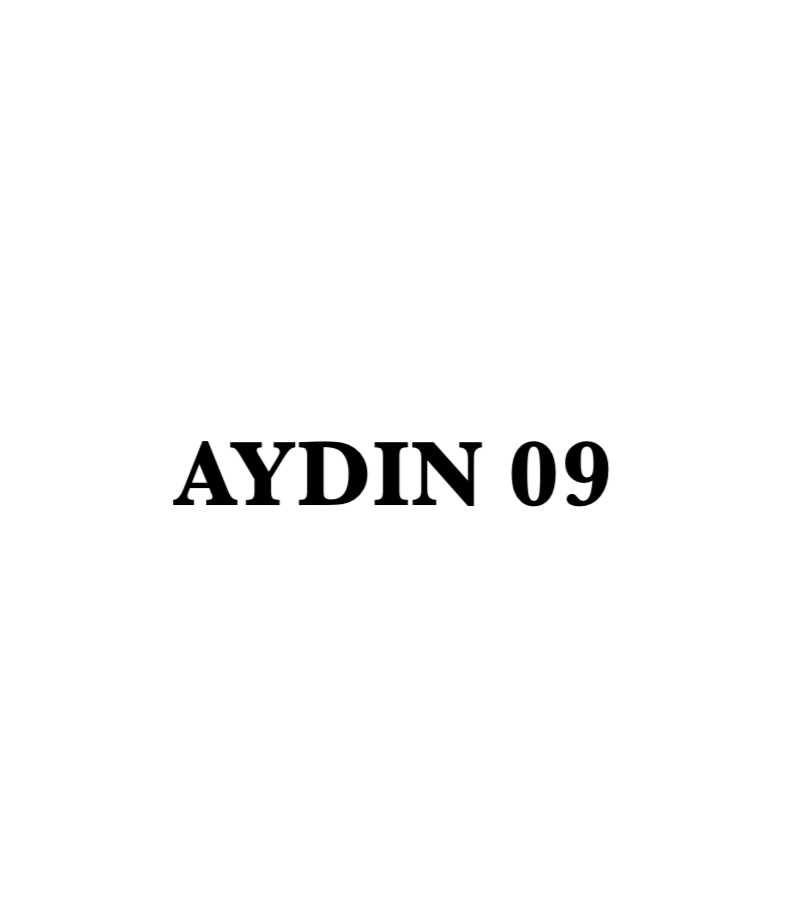 AYDIN 09 - CARSTICKYZ