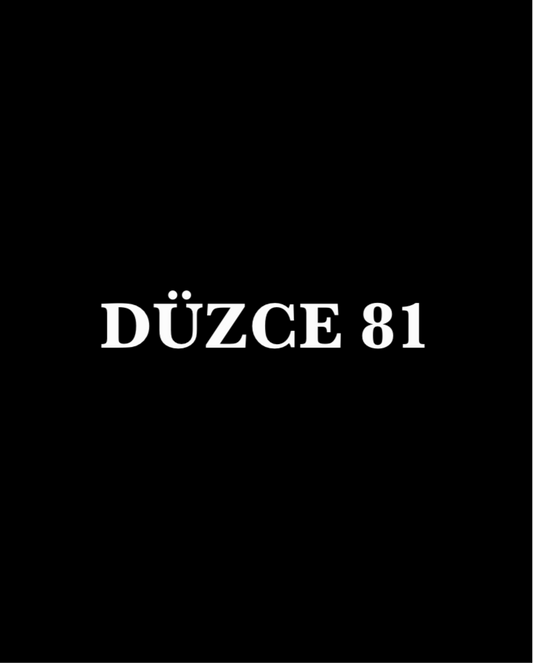 DÜZCE 81 - CARSTICKYZ