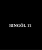 BINGÖL 12 - CARSTICKYZ