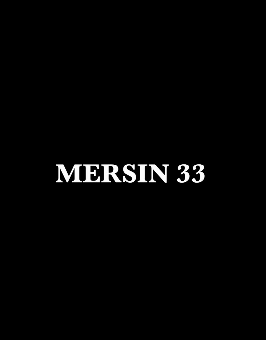 MERSIN 33 - CARSTICKYZ