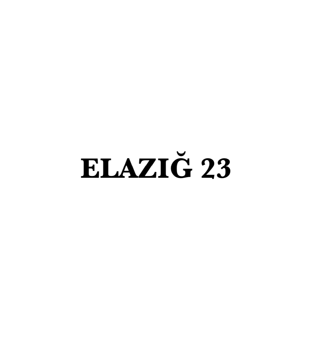 ELAZIG 23 - CARSTICKYZ