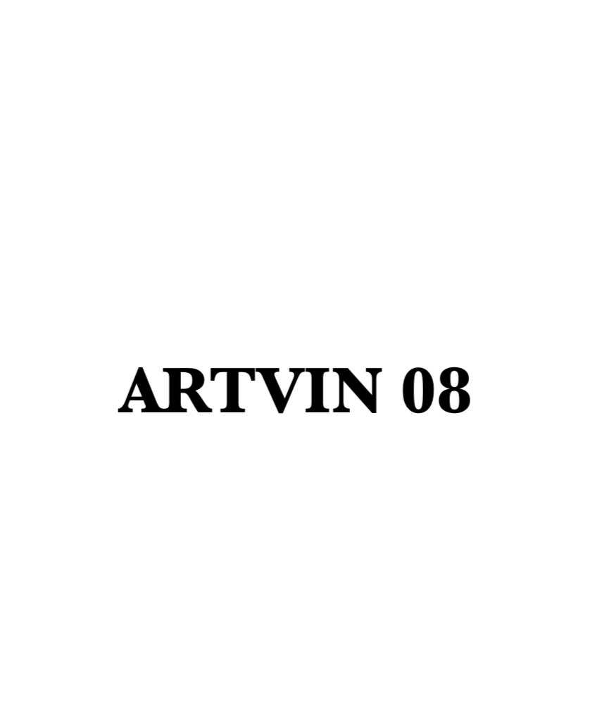 ARTVIN 08 - CARSTICKYZ