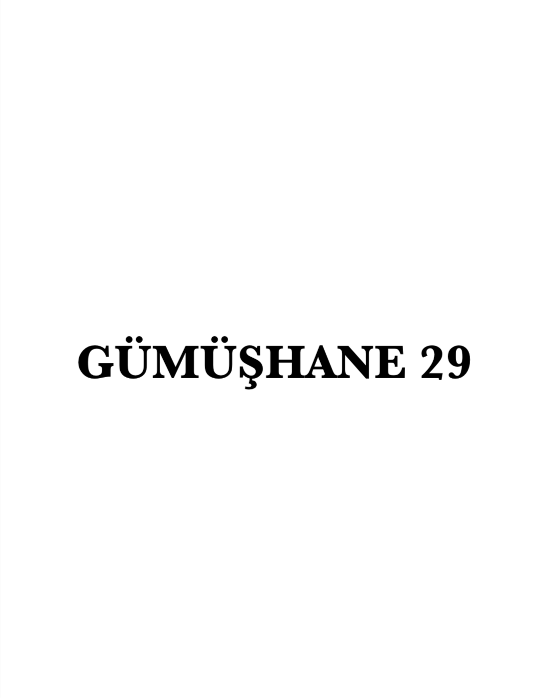 GÜMÜSHANE 29 - CARSTICKYZ