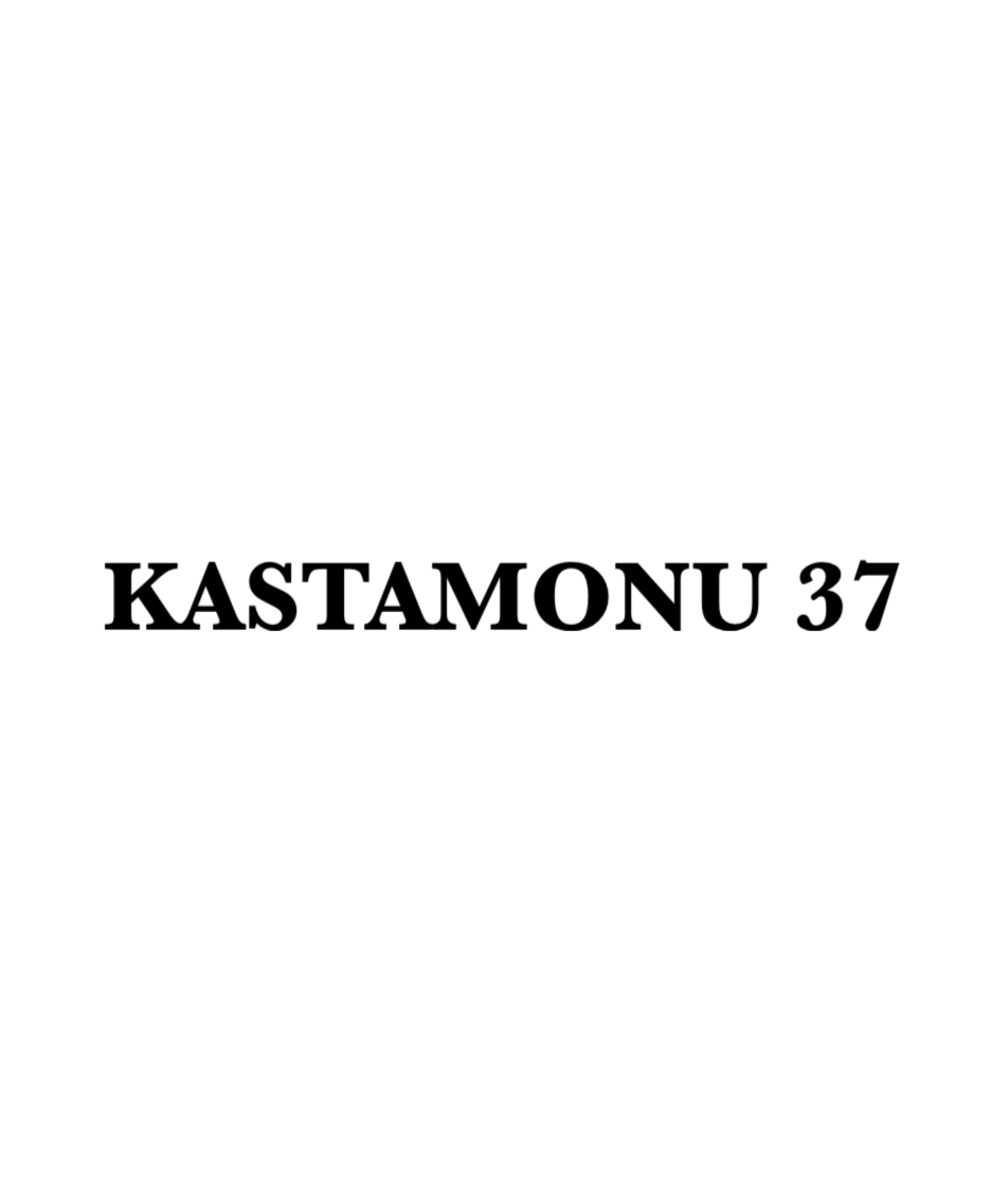 KASTAMONU 37 - CARSTICKYZ