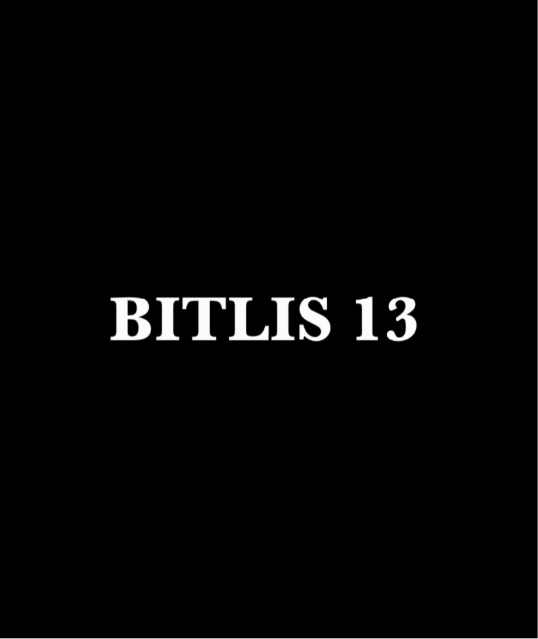 BITLIS 13 - CARSTICKYZ