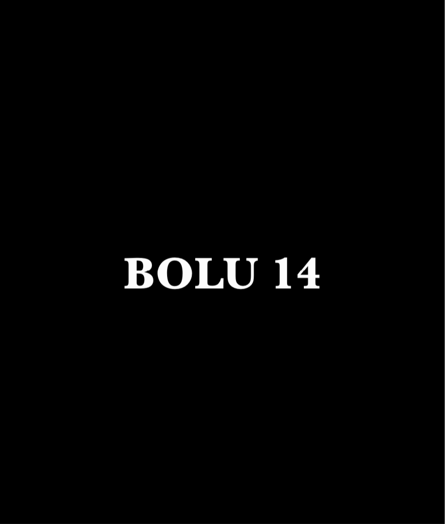 BOLU 14 - CARSTICKYZ