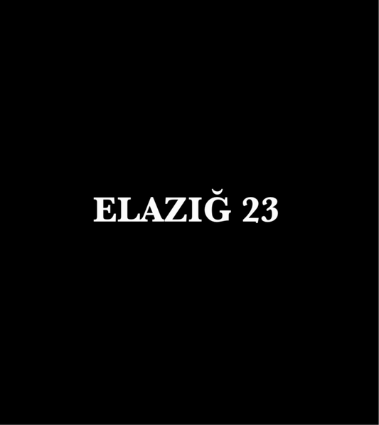 ELAZIG 23 - CARSTICKYZ