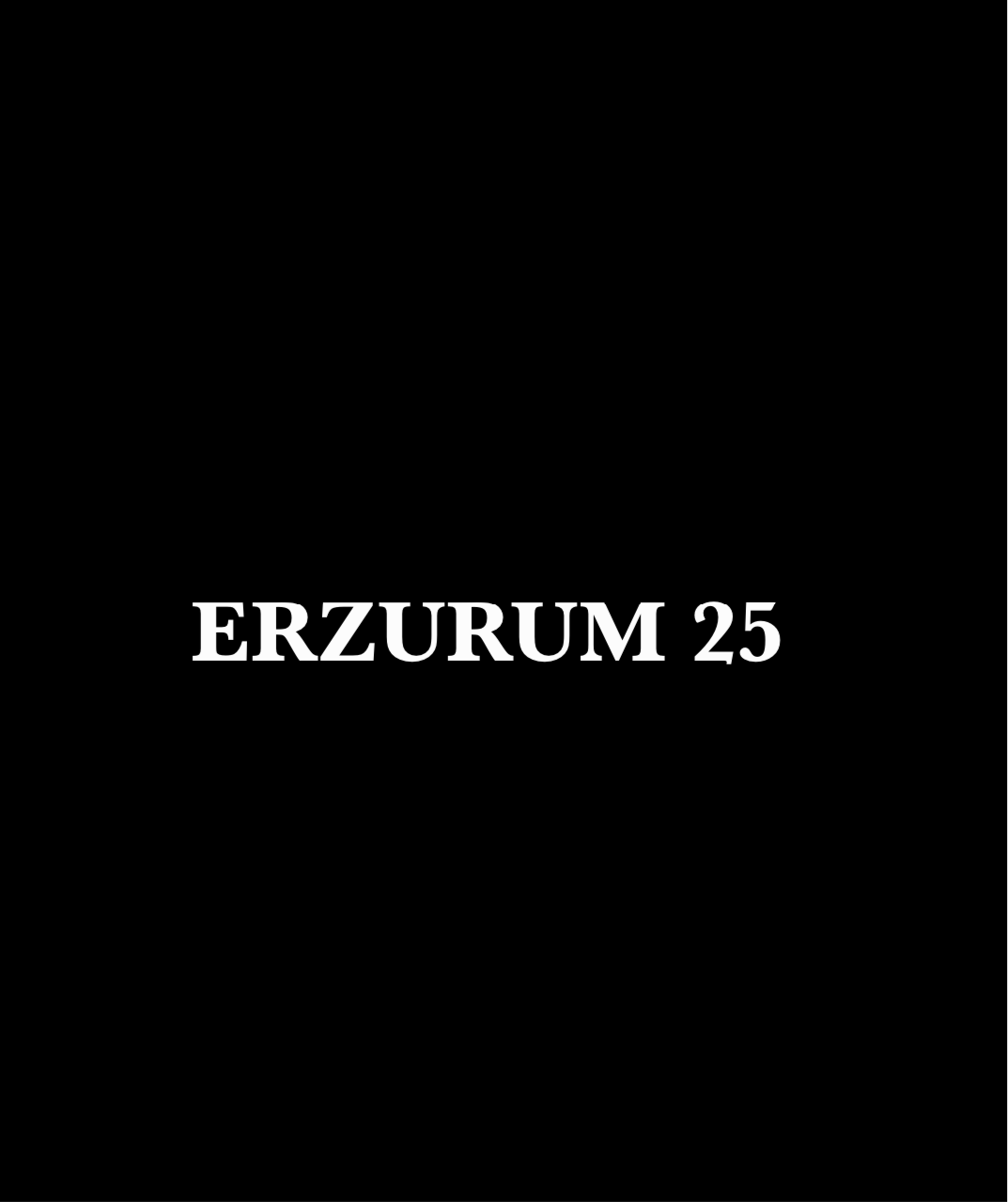 ERZURUM 25 - CARSTICKYZ