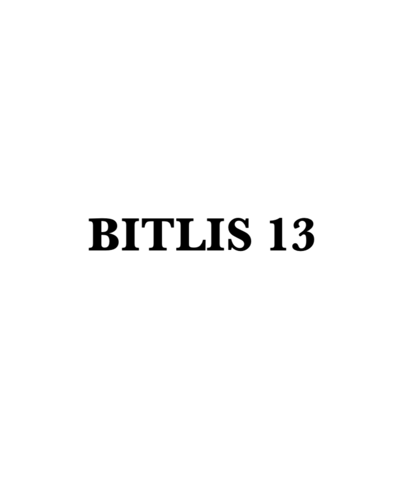 BITLIS 13 - CARSTICKYZ